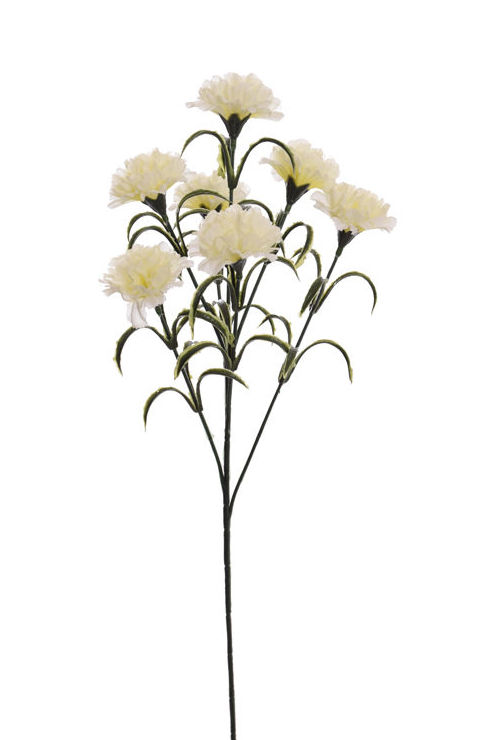 VARA CLAVEL (61CM). COLOR:CREMA REF.:40050002/CR PRECIO:1,30 € VARA CLAVEL (61CM). COLOR:CREMA REF.:40050002/CR PRECIO:1,30 €