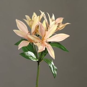 VARA LILIUM (SALMÓN CLARO) REF: 43456-47 PRECIO: 3,00€ VARA LILIUM (SALMÓN CLARO) REF: 43456-47 PRECIO: 3,00€