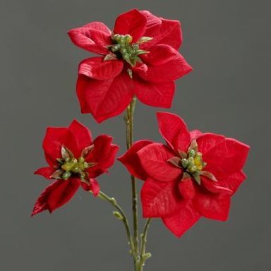VARA POINSETTIA X3 (43CM)/ ROJO REF:23938-02 PRECIO:1,80 € VARA POINSETTIA X3 (43CM)/ ROJO REF:23938-02 PRECIO:1,80 €