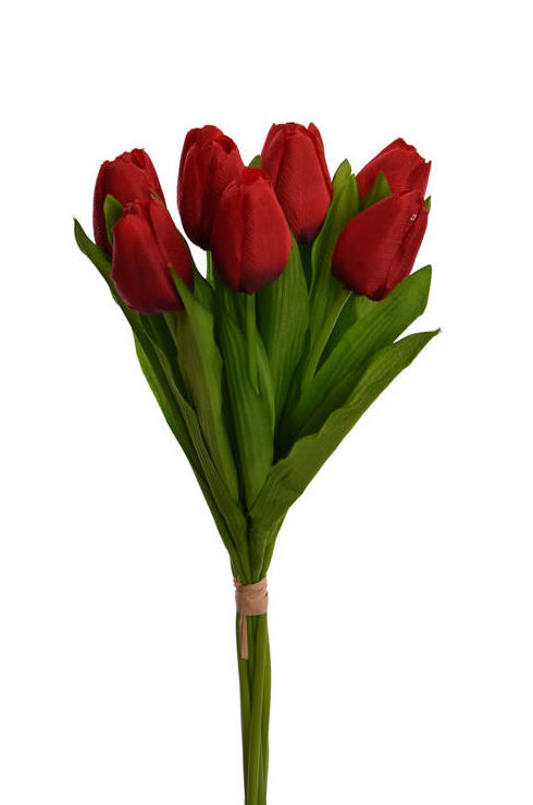 ATADO x9 TULIPANES (38CM)/ ROJO REF: 50060112/RE PRECIO: 3,90€ ATADO x9 TULIPANES (38CM)/ ROJO REF: 50060112/RE PRECIO: 3,90€