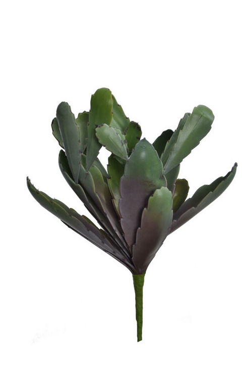 CACTUS MEDIANO (VERDE) REF:60010234/GR PRECIO:9.05€ CACTUS MEDIANO (VERDE) REF:60010234/GR PRECIO:9.05€
