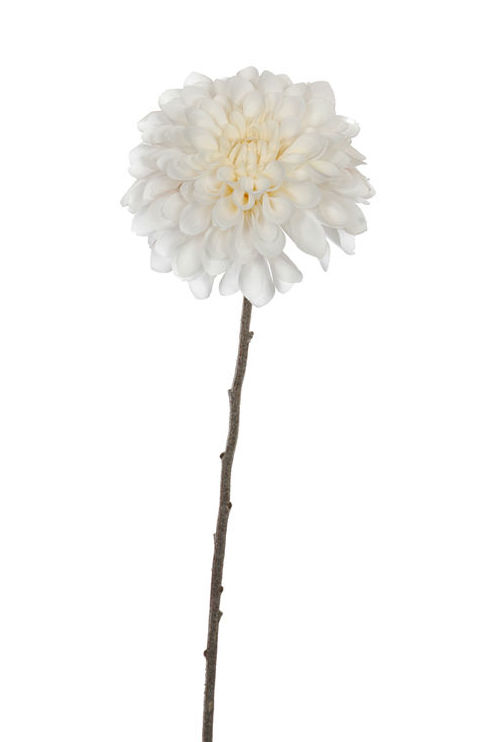 VARA DAHLIA (56CM) / CREMA REF: 30020012/CR PRECIO: 3,30€ VARA DAHLIA (56CM) / CREMA REF: 30020012/CR PRECIO: 3,30€