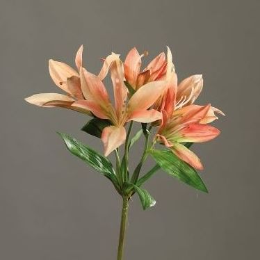 VARA LILIUM (SALMÓN) REF: 43456-08 PRECIO: 3,00€ VARA LILIUM (SALMÓN) REF: 43456-08 PRECIO: 3,00€