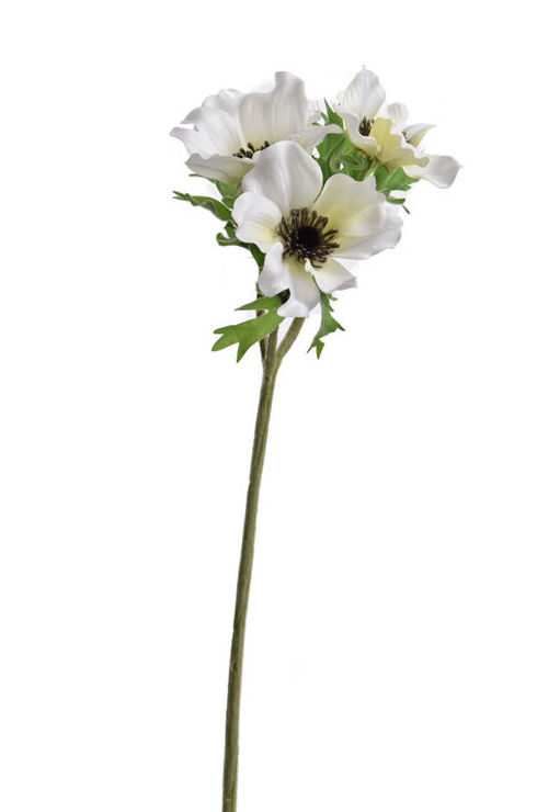 VARA ANEMONA x3 (45CM)/ CREMA REF: 40020320/CR PRECIO: 2,60€ VARA ANEMONA x3 (45CM)/ CREMA REF: 40020320/CR PRECIO: 2,60€