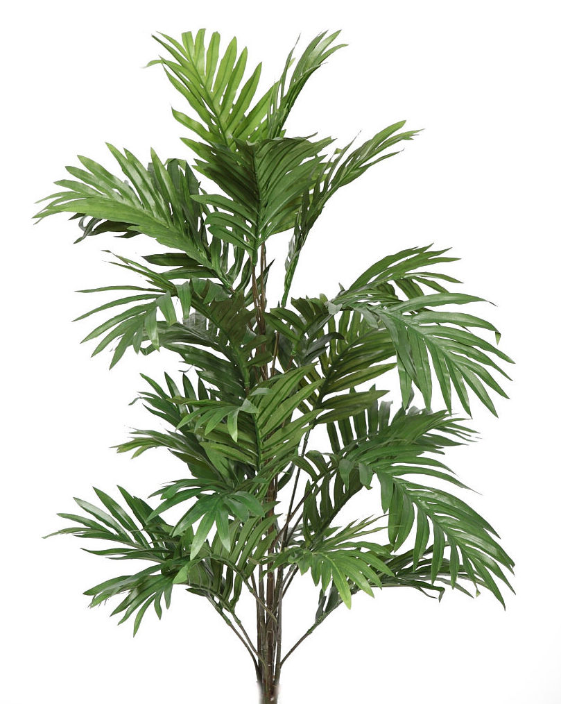 PALMERA ARECA TELA (D.54CMxH.92CM) REF: 65600 PRECIO: 16,50€ PALMERA ARECA TELA (D.54CMxH.92CM) REF: 65600 PRECIO: 16,50€