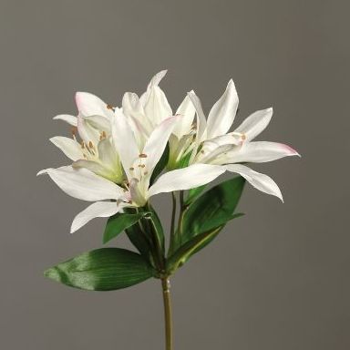 VARA LILIUM,. COLOR:BLANCO REF.:43456-05 PRECIO: 3,00 € VARA LILIUM,. COLOR:BLANCO REF.:43456-05 PRECIO: 3,00 €