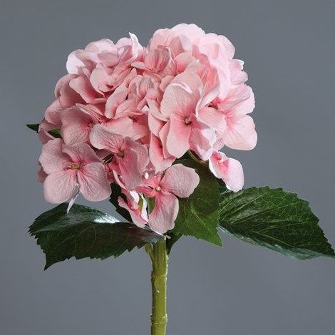VARA HORTENSIA. COLOR:ROSA REF.:3031 ROS PRECIO:1,80 € VARA HORTENSIA. COLOR:ROSA REF.:3031 ROS PRECIO:1,80 €