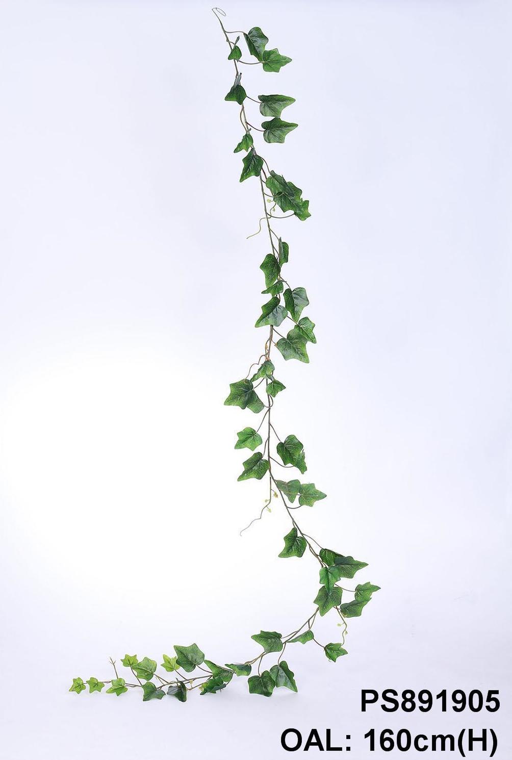 GUIRNALDA HIEDRA (160 CM) COLOR:VERDE REF.:PS891905 PRECIO: 2,85 € GUIRNALDA HIEDRA (160 CM) COLOR:VERDE REF.:PS891905 PRECIO: 2,85 €