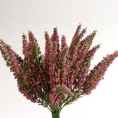 POMO ERICA (26CM). COLOR: ROSA REF.:15499.03 PRECIO: 3,70 € POMO ERICA (26CM). COLOR: ROSA REF.:15499.03 PRECIO: 3,70 €