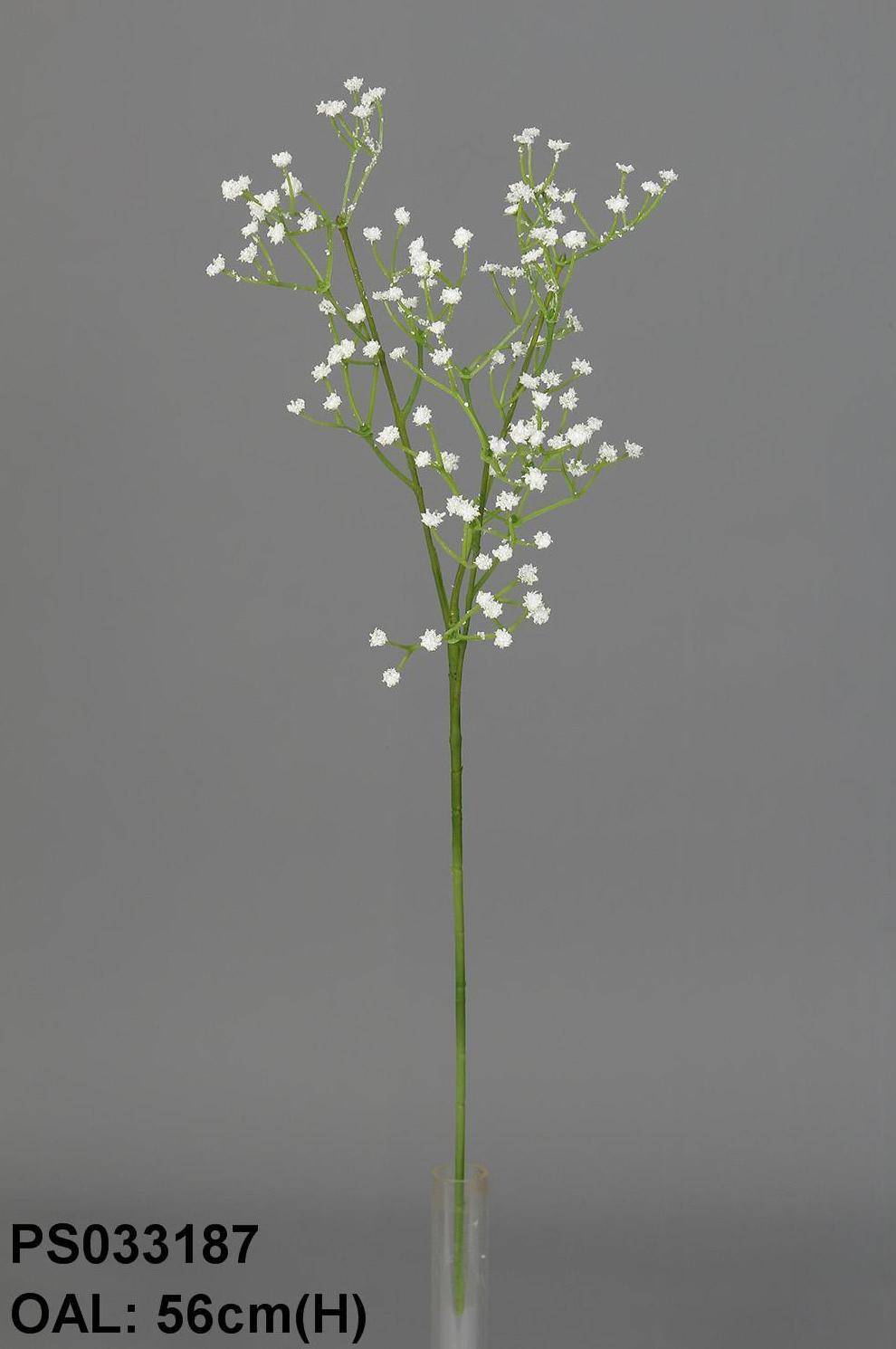 PQTE.12 UNID.VARA GIPSÓFILA (56CM). COLOR:BLANCA REF.:PS033187 PRECIO:0,75 € C/U PQTE.12 UNID.VARA GIPSÓFILA (56CM). COLOR:BLANCA REF.:PS033187 PRECIO:0,75 € C/U