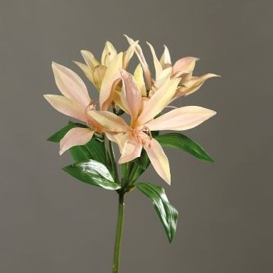 VARA LILIUM. COLOR:SALMÓN CLARO REF.:43456-47 PRECIO: 3,00 € VARA LILIUM. COLOR:SALMÓN CLARO REF.:43456-47 PRECIO: 3,00 €