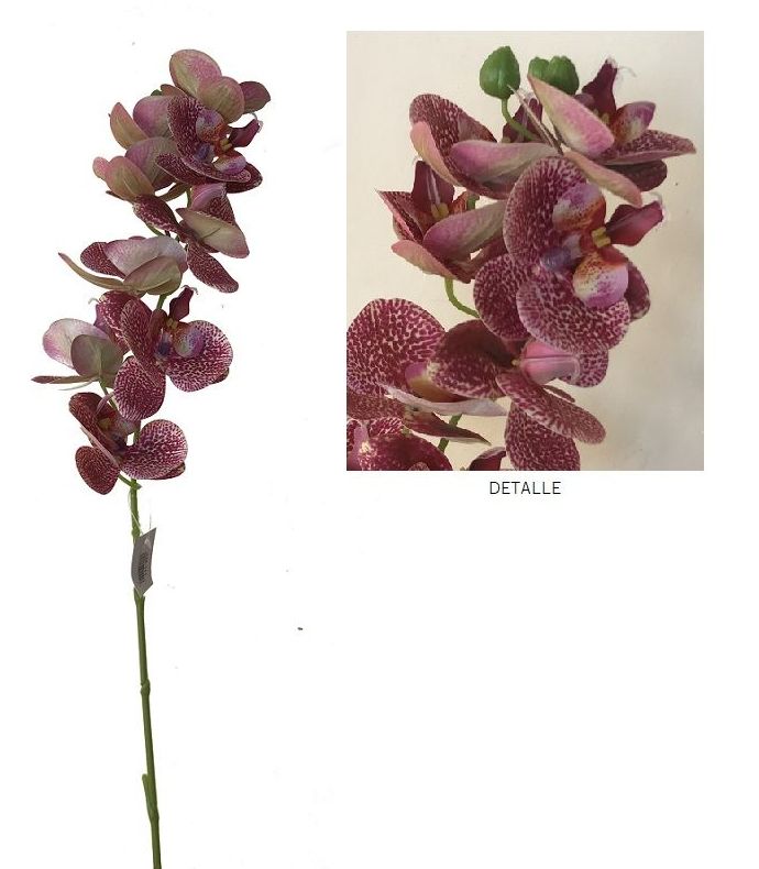 VARA DE ORQUIDEA DE TACTO NATURAL (86CM)/ MOTEADA BEAUTY REF: AM-111 (MOTEADA BEAUTY) PRECIO: 4,50€/UD VARA DE ORQUIDEA DE TACTO NATURAL (86CM)/ MOTEADA BEAUTY REF: AM-111 (MOTEADA BEAUTY) PRECIO: 4,50€/UD