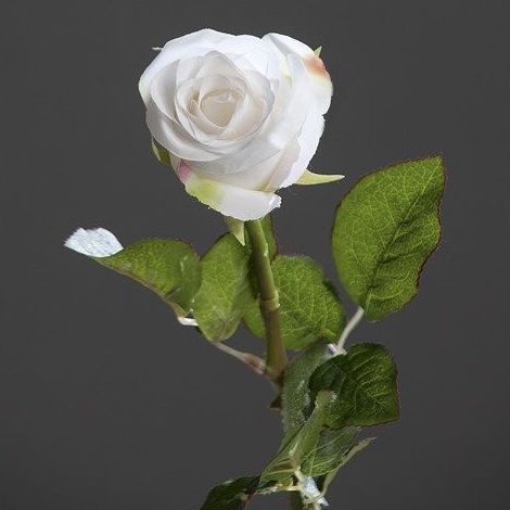 VARA ROSA. COLOR: BLANCO/SALMON/ROJA REF.: 3043 PRECIO: 1,00 € VARA ROSA. COLOR: BLANCO/SALMON/ROJA REF.: 3043 PRECIO: 1,00 €