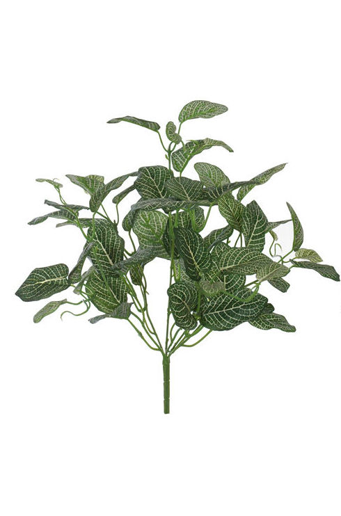 FITONIA COLGANTE( 36CM) COLOR:RED/GREEN REF.:61472/REGR PRECIO: 5,20 € FITONIA COLGANTE( 36CM) COLOR:RED/GREEN REF.:61472/REGR PRECIO: 5,20 €