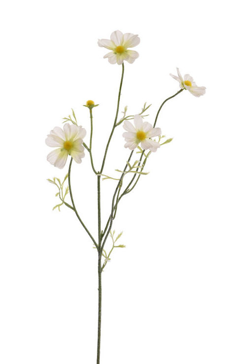 VARA COSMOS (62CM). COLOR:CREMA REF.:40020065/CR PRECIO:1,75 € VARA COSMOS (62CM). COLOR:CREMA REF.:40020065/CR PRECIO:1,75 €