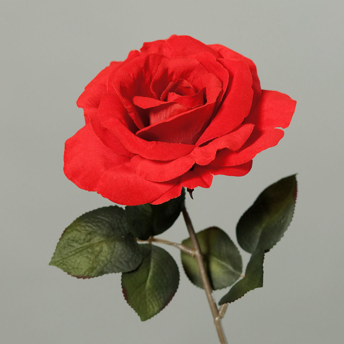 VARA DE ROSA 43CM (TERCIOPELO)/ ROJO REF: 43532-02 PRECIO: 2,95€ VARA DE ROSA 43CM (TERCIOPELO)/ ROJO REF: 43532-02 PRECIO: 2,95€