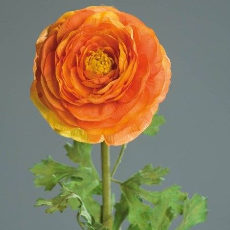 VARA RANUNCULO. COLORES:NARANJA/BLANCO/ROSA REF.:PS017381 PRECIO: 1,50 € VARA RANUNCULO. COLORES:NARANJA/BLANCO/ROSA REF.:PS017381 PRECIO: 1,50 €