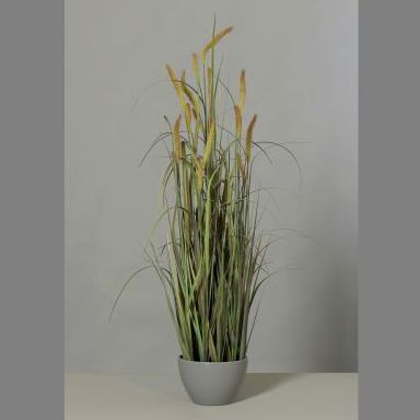 PLANTA DE RIO OTOÑAL (120CM) COLOR:VERDE. REF.:57046-01 PRECIO:41,10 € PLANTA DE RIO OTOÑAL (120CM) COLOR:VERDE. REF.:57046-01 PRECIO:41,10 €