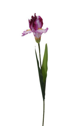 PQTE x12 VARAS DE IRIS (65CM)/ LAVANDA REF: 30672/LAV PRECIO: 10,80€ (0,90€/UD) PQTE x12 VARAS DE IRIS (65CM)/ LAVANDA REF: 30672/LAV PRECIO: 10,80€ (0,90€/UD)