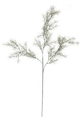 VARA SPRINGERI PLASTIC (70CM).COLOR:GREEN REF.:24394/GR PRECIO:1,90 € VARA SPRINGERI PLASTIC (70CM).COLOR:GREEN REF.:24394/GR PRECIO:1,90 €