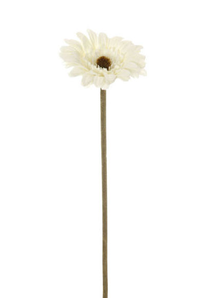 PQTE x12 VARA GERBERA (32CM)/ CREMA REF: 30754/CR PRECIO: 9,60€/PQTE (0,80€/UD) PQTE x12 VARA GERBERA (32CM)/ CREMA REF: 30754/CR PRECIO: 9,60€/PQTE (0,80€/UD)