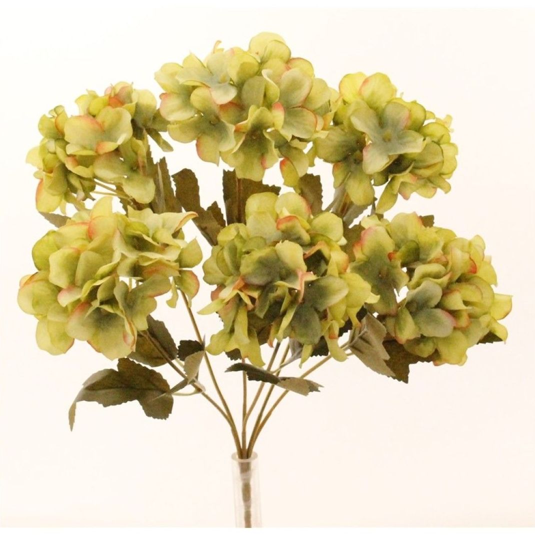 POMITO HORTENSIA. COLOR:VERDE REF.:3069 VER PRECIO: 1,80 € POMITO HORTENSIA. COLOR:VERDE REF.:3069 VER PRECIO: 1,80 €