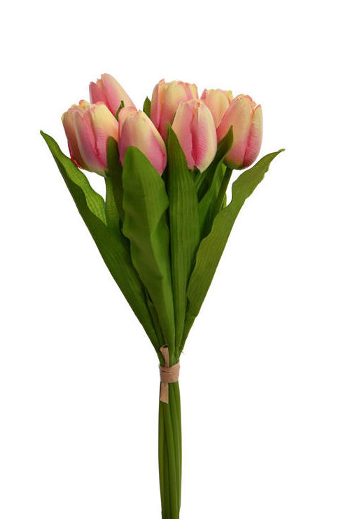 ATADO x9 TULIPANES (38CM)/ ROSA REF: 50060112/PI PRECIO: 3,90€ ATADO x9 TULIPANES (38CM)/ ROSA REF: 50060112/PI PRECIO: 3,90€