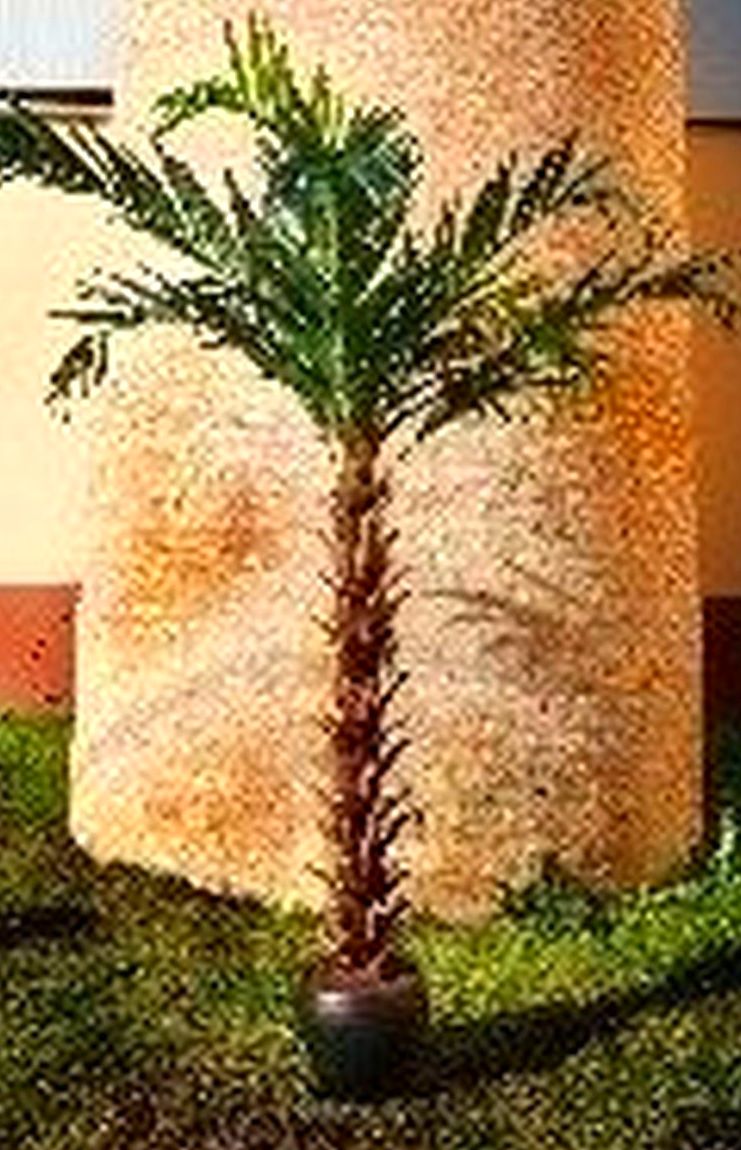Palmeras: CATÁLOGO de Fernando Gallego, S.C.P. Palmeras: CATÁLOGO de Fernando Gallego, S.C.P.
