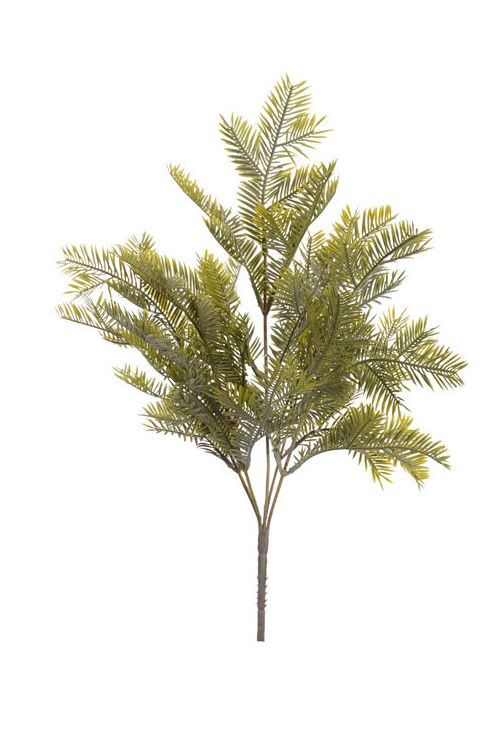 MATA HELECHO X5 (40CM). COLOR:VERDE REF.:24010003/GR PRECIO: 2,95 € MATA HELECHO X5 (40CM). COLOR:VERDE REF.:24010003/GR PRECIO: 2,95 €