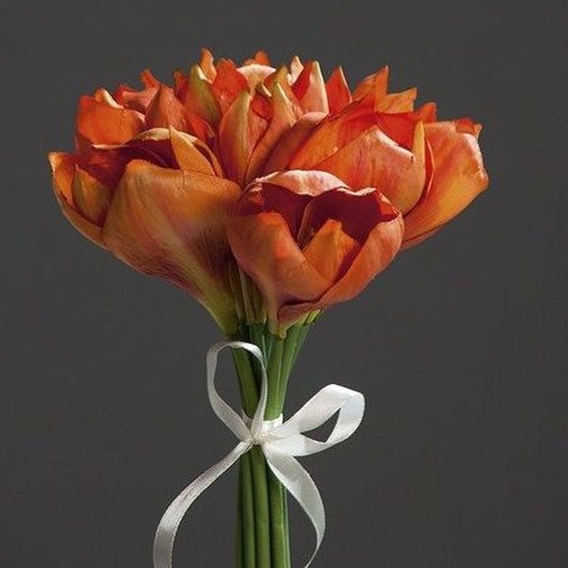 Atado Tulipanes: CATÁLOGO de Fernando Gallego, S.C.P. Atado Tulipanes: CATÁLOGO de Fernando Gallego, S.C.P.