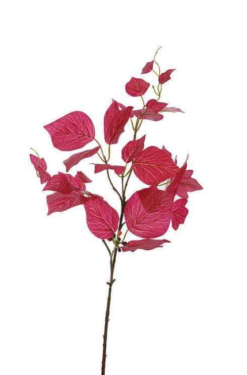 VARA DE HIEDRA (63CM)/ ROJO REF: 12020188/RE PRECIO: 2,30€ VARA DE HIEDRA (63CM)/ ROJO REF: 12020188/RE PRECIO: 2,30€
