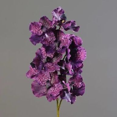 VARA ORQUIDEA WANDA (LILA) REF:60422-09 PRECIO:9,15 € VARA ORQUIDEA WANDA (LILA) REF:60422-09 PRECIO:9,15 €