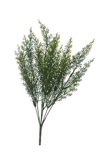 MATA FOXTAIL X7 PLASTICO (37CM.) COLOR: GREEN REF.:24784/GR PRECIO: 1,65 € MATA FOXTAIL X7 PLASTICO (37CM.) COLOR: GREEN REF.:24784/GR PRECIO: 1,65 €