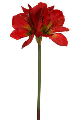 VARA AMARILIS GIGANTE 120CM (ROJO) REF:40896/RE PRECIO:12,95 € VARA AMARILIS GIGANTE 120CM (ROJO) REF:40896/RE PRECIO:12,95 €