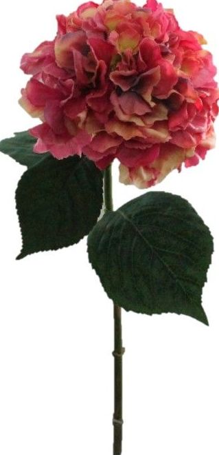 VARA AGUA HORTENSIA TACTO COLOR: FUCSIA REF: 7079 FUX PRECIO: 2,80€ VARA AGUA HORTENSIA TACTO COLOR: FUCSIA REF: 7079 FUX PRECIO: 2,80€