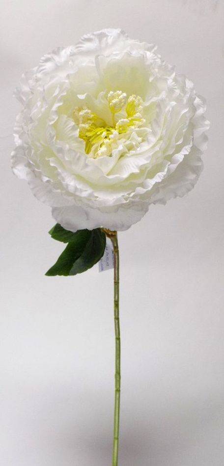 VARA PEONIA GIGANTE 80 CM. COLOR:BLANCO REF.:30058 BLANCA PRECIO:2,50 € VARA PEONIA GIGANTE 80 CM. COLOR:BLANCO REF.:30058 BLANCA PRECIO:2,50 €