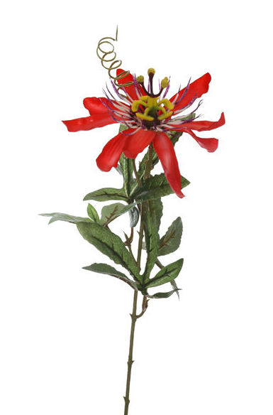 PICK PASSIFLORA (37CM) COLOR:RED REF.:41618/RE PRECIO:1,45 € PICK PASSIFLORA (37CM) COLOR:RED REF.:41618/RE PRECIO:1,45 €