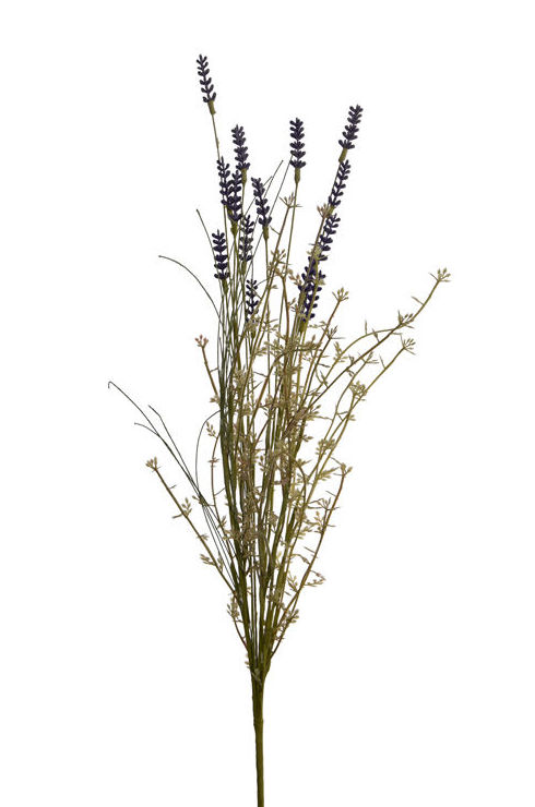 MATA LAVANDA MIXTA 60CM (PURPURA) REF.:50060104/PU PRECIO:2,65 € MATA LAVANDA MIXTA 60CM (PURPURA) REF.:50060104/PU PRECIO:2,65 €