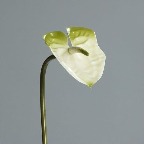 Ref.: 42266-34 Color:Blanco-verde Precio:1,35 € Ref.: 42266-34 Color:Blanco-verde Precio:1,35 €