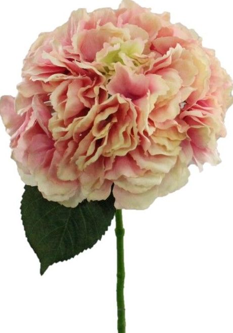 VARA AGUA HORTENSIA TACTO/ COLOR: ROSA REF: 7079 ROS PRECIO: 2,80€ VARA AGUA HORTENSIA TACTO/ COLOR: ROSA REF: 7079 ROS PRECIO: 2,80€