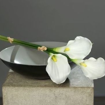 VARA CALA DE TACTO NAT (50CM)/ BLANCO REF: 43345 PRECIO: 1.70€/UD VARA CALA DE TACTO NAT (50CM)/ BLANCO REF: 43345 PRECIO: 1.70€/UD
