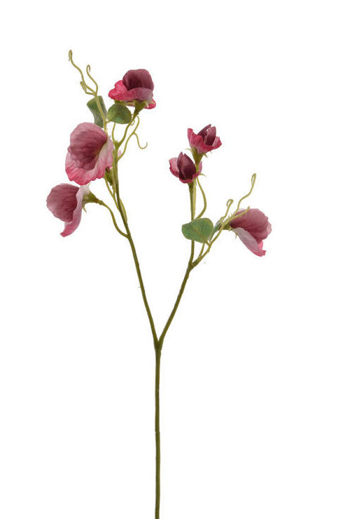 PICK FLOR DEL GUISANTE x2 (45CM)/ ROSA REF: 40010194/PI PRECIO: 1,60€ PICK FLOR DEL GUISANTE x2 (45CM)/ ROSA REF: 40010194/PI PRECIO: 1,60€