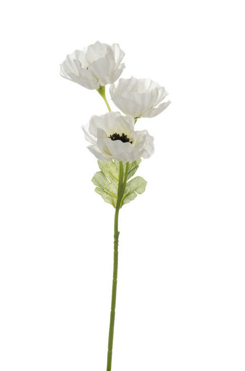 PICK ANEMONA X3 (31CM) / CREMA REF: 31100/CR PRECIO: 0,80€ PICK ANEMONA X3 (31CM) / CREMA REF: 31100/CR PRECIO: 0,80€