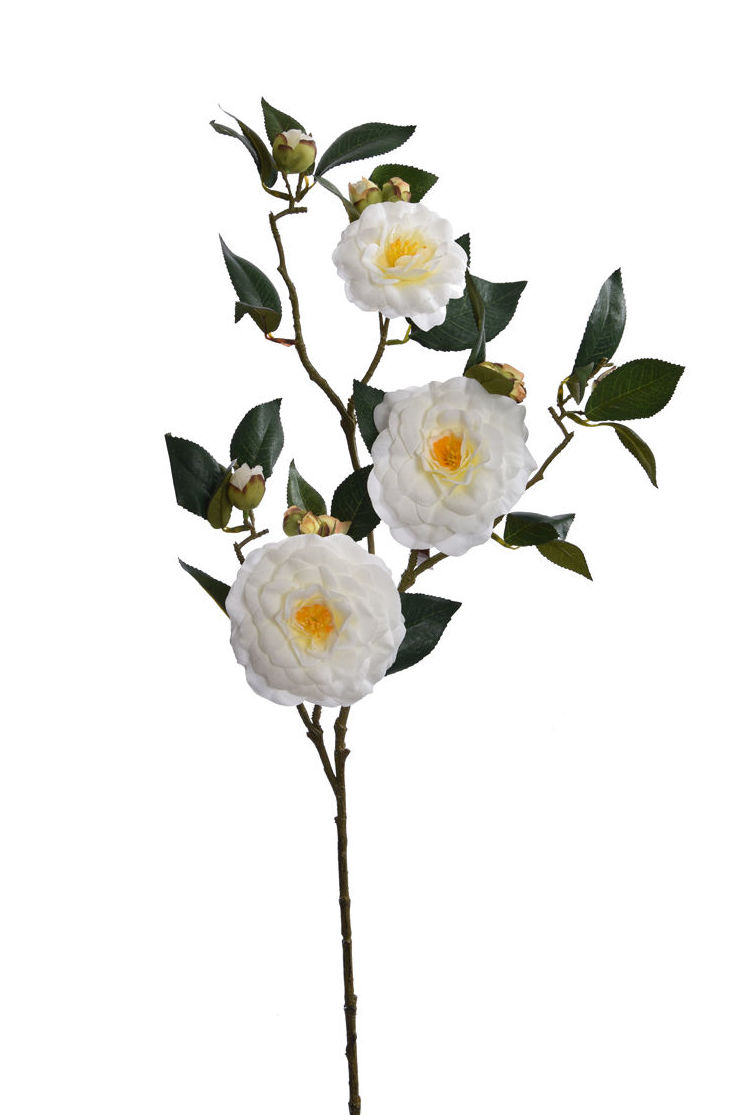 VARA CAMELIA X3 GRD. 85 CM. COLOR:BLANCO REF.:LT.RM0004WH PRECIO:6,95 € VARA CAMELIA X3 GRD. 85 CM. COLOR:BLANCO REF.:LT.RM0004WH PRECIO:6,95 €