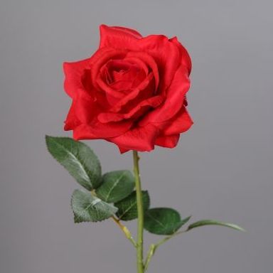 VARA ROSA ABIERTA TACTO NATURAL(70CM.) COLOR: ROJO REF.:43386-02 PRECIO: 2,75 € VARA ROSA ABIERTA TACTO NATURAL(70CM.) COLOR: ROJO REF.:43386-02 PRECIO: 2,75 €