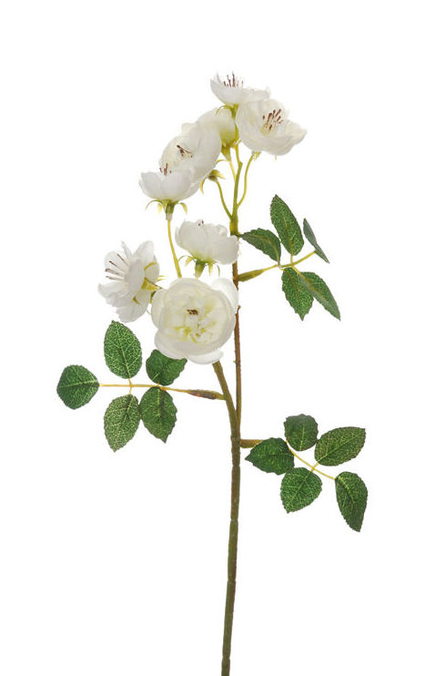 PICK MINI ROSA X2 (29CM) COLOR:CREMA REF.:41775/CR PRECIO:1,70 € PICK MINI ROSA X2 (29CM) COLOR:CREMA REF.:41775/CR PRECIO:1,70 €