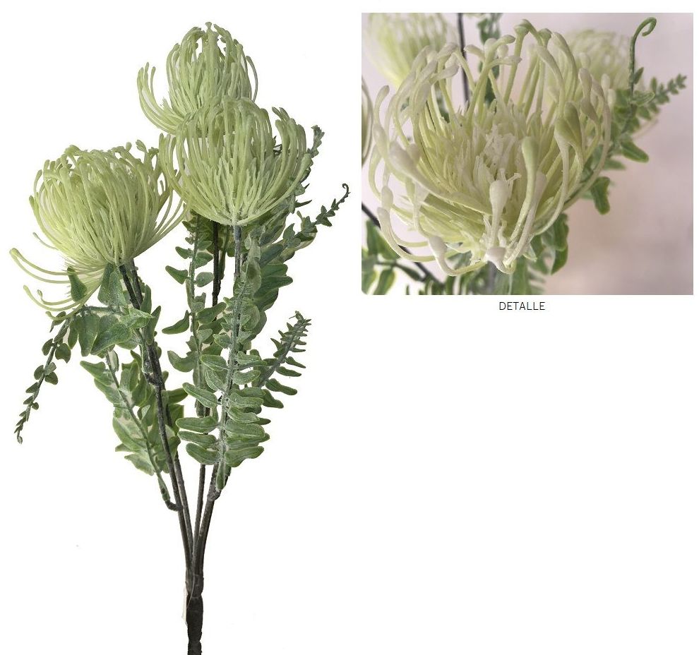 POMO DE CORDIFOLIUMx5 (42CM) / CREMA REF: AM-167 (CREMA) PRECIO: 2,50€ POMO DE CORDIFOLIUMx5 (42CM) / CREMA REF: AM-167 (CREMA) PRECIO: 2,50€