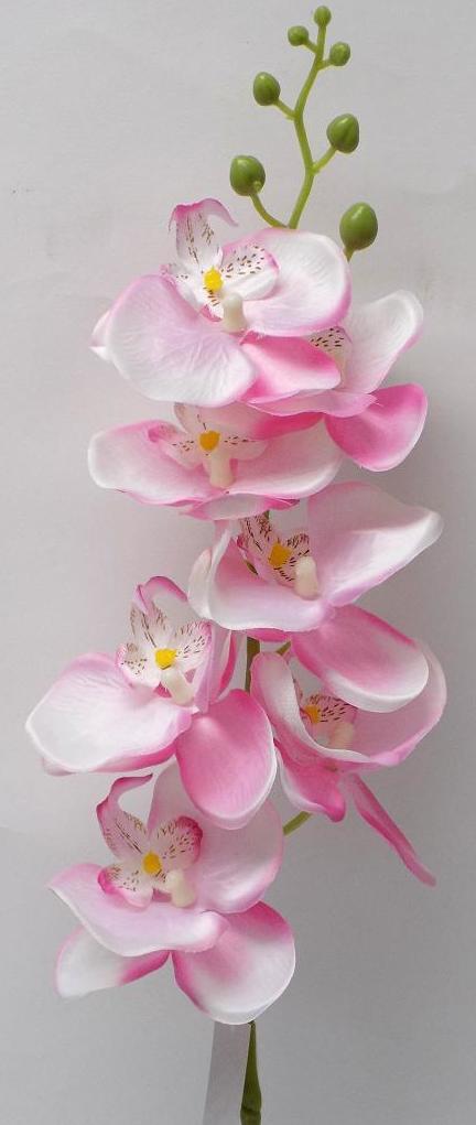 VARA ORQUIDEA PHALENOPSIS. COLOR:ROSA REF.:40009 PRECIO: 2,50 € VARA ORQUIDEA PHALENOPSIS. COLOR:ROSA REF.:40009 PRECIO: 2,50 €