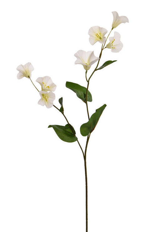 VARA CAMPANILLA x2 (61CM)/ CREMA REF: 40020231/CR PRECIO: 1,30€ VARA CAMPANILLA x2 (61CM)/ CREMA REF: 40020231/CR PRECIO: 1,30€