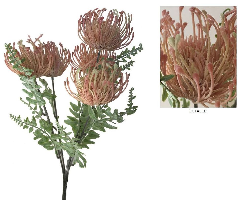 POMO DE CORDIFOLIUMx5 (42CM) / SALMON REF: AM-167 (SALMON) PRECIO: 2,50€ POMO DE CORDIFOLIUMx5 (42CM) / SALMON REF: AM-167 (SALMON) PRECIO: 2,50€